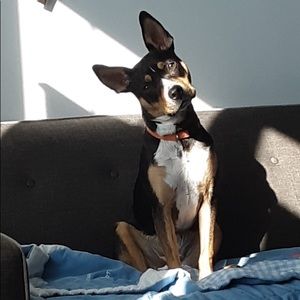 Meet your Posher, Shawn